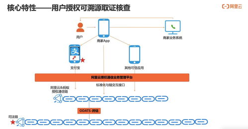 構(gòu)建可信、可知、可追溯的用戶(hù)通信授權(quán)服務(wù) 技術(shù)深度解讀